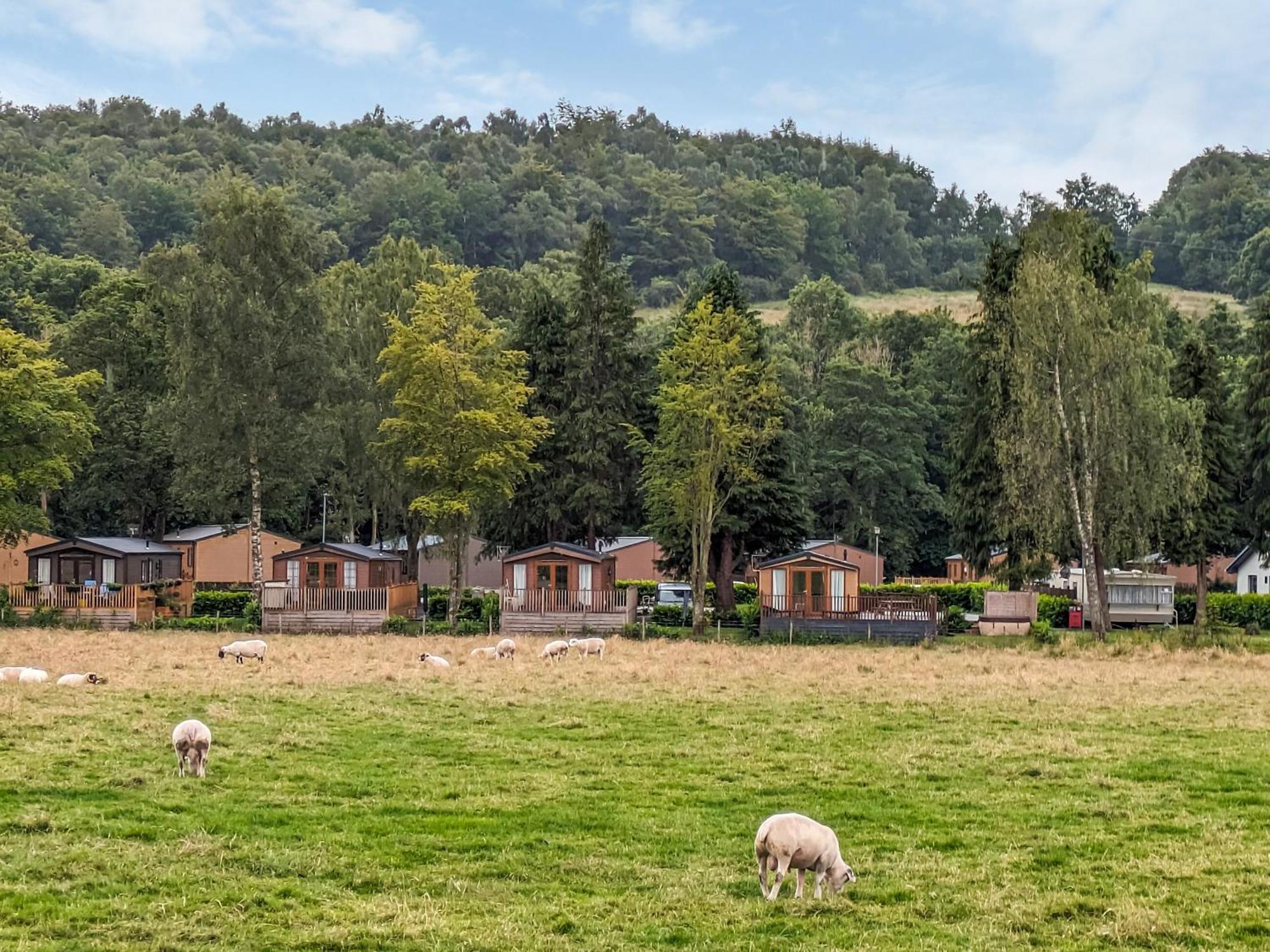 Glenbeagles Lodge Dollar Zewnętrze zdjęcie