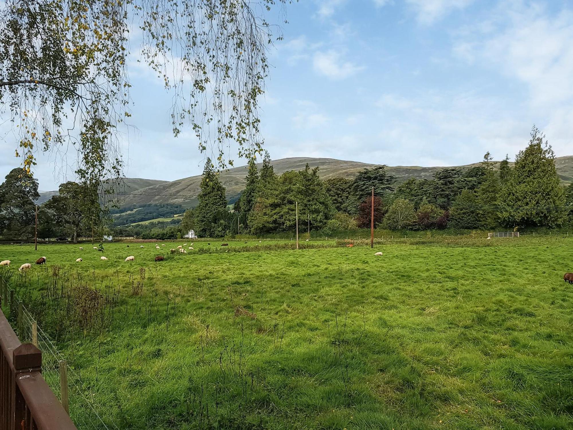 Glenbeagles Lodge Dollar Zewnętrze zdjęcie